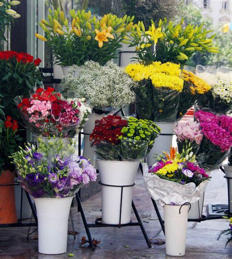 venta de flores para comprar.